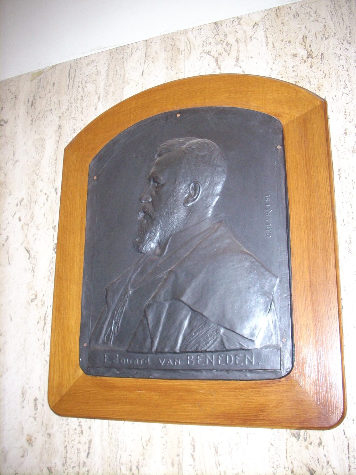 Edouard van Beneden memorial tablet, Maison de la Science, Liege (1).JPG